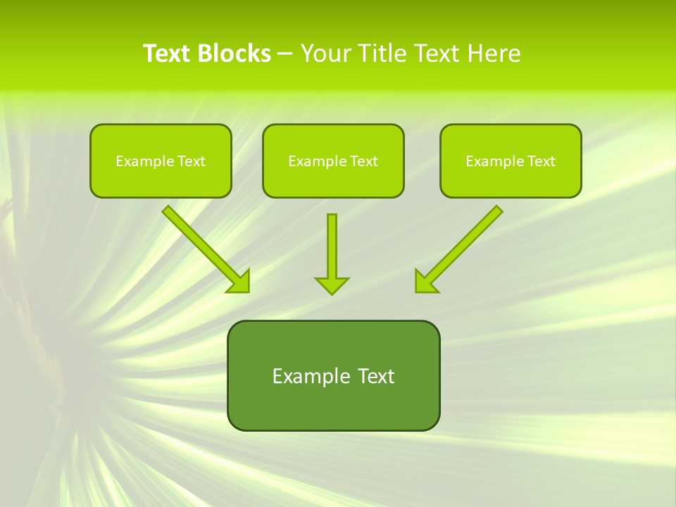 South Nature Yellow PowerPoint Template