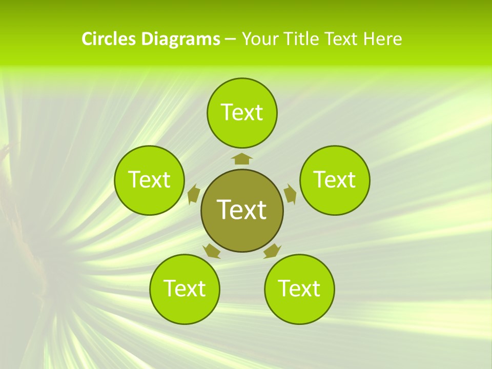 South Nature Yellow PowerPoint Template