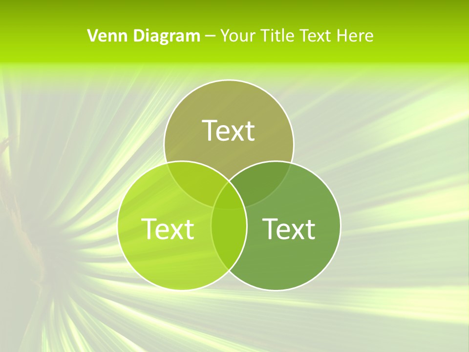 South Nature Yellow PowerPoint Template