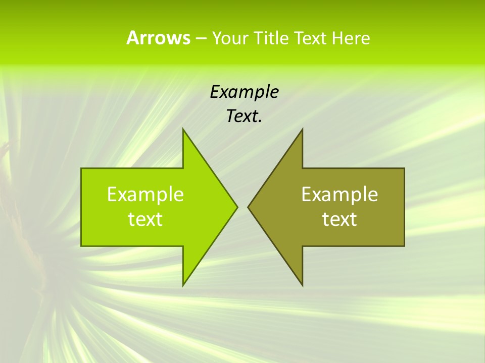 South Nature Yellow PowerPoint Template