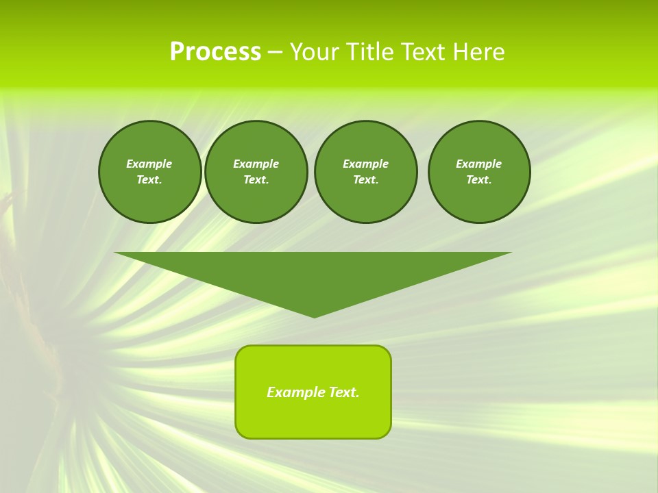 South Nature Yellow PowerPoint Template