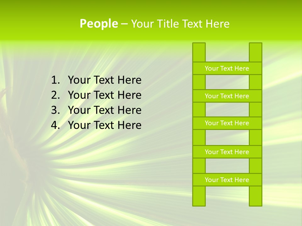 South Nature Yellow PowerPoint Template
