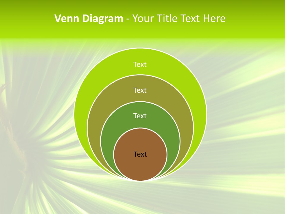 South Nature Yellow PowerPoint Template