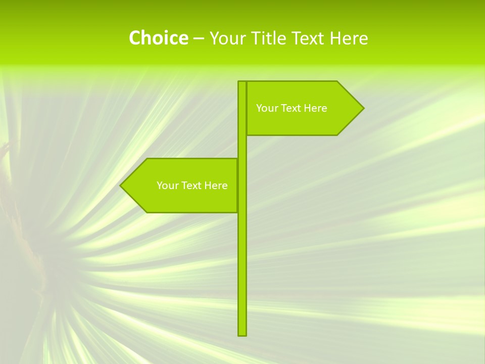 South Nature Yellow PowerPoint Template