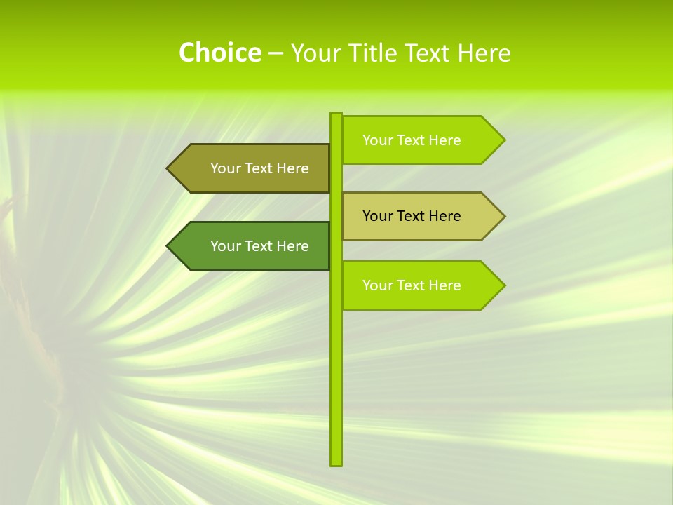 South Nature Yellow PowerPoint Template
