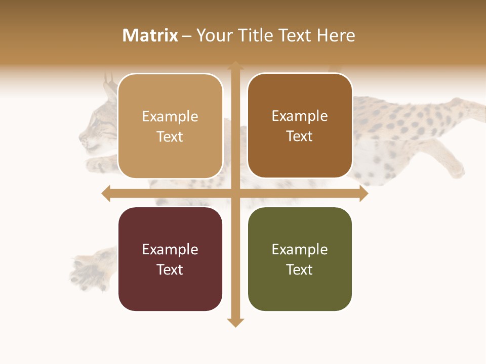 Eye Studio Move PowerPoint Template