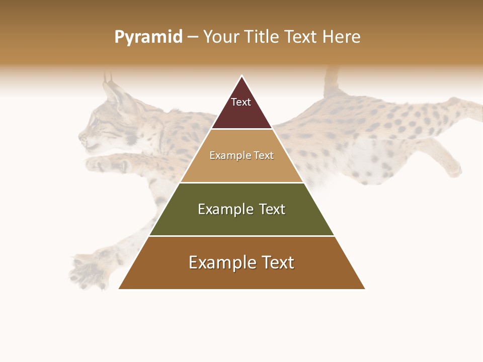 Eye Studio Move PowerPoint Template