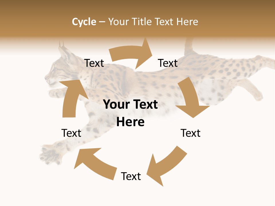 Eye Studio Move PowerPoint Template