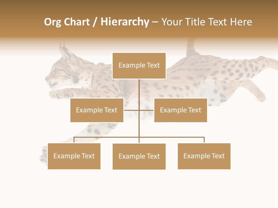 Eye Studio Move PowerPoint Template