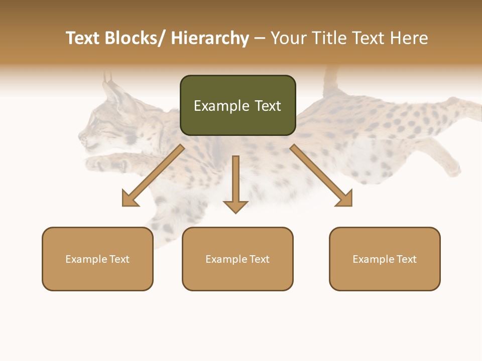 Eye Studio Move PowerPoint Template