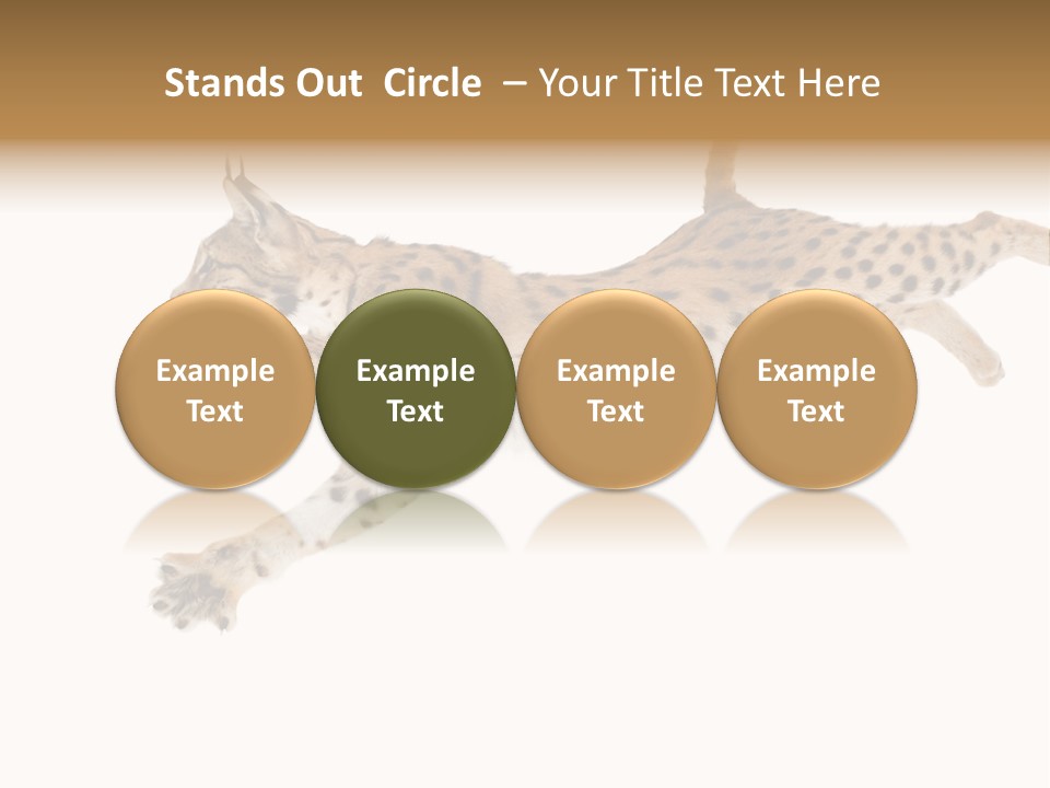 Eye Studio Move PowerPoint Template