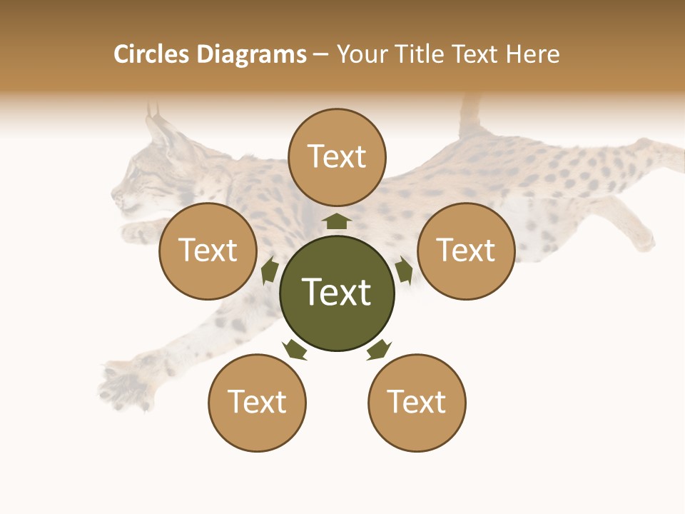Eye Studio Move PowerPoint Template