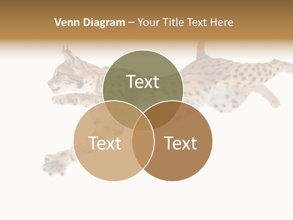 Eye Studio Move PowerPoint Template