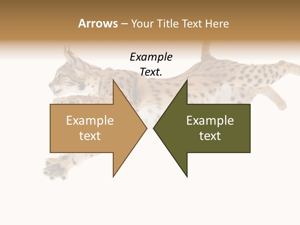 Eye Studio Move PowerPoint Template