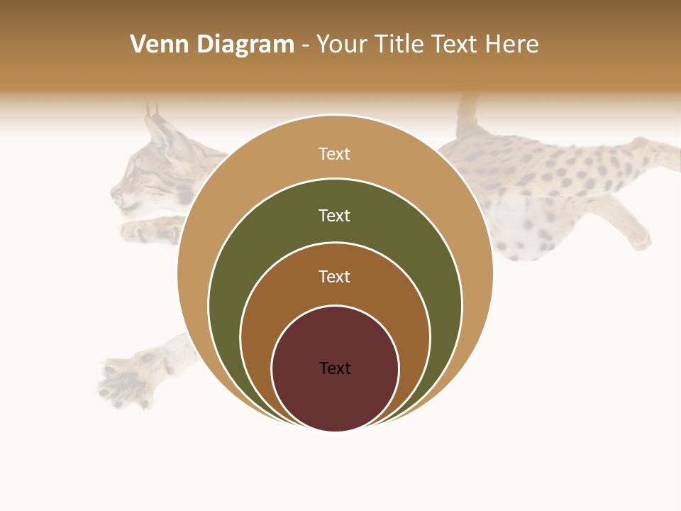 Eye Studio Move PowerPoint Template