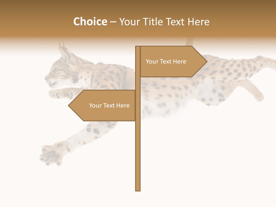 Eye Studio Move PowerPoint Template