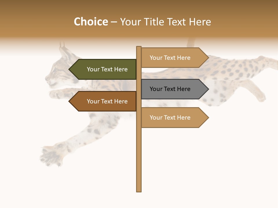 Eye Studio Move PowerPoint Template