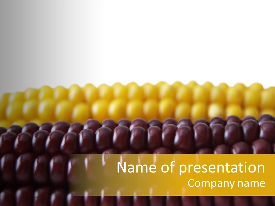 Kernel Corn Seed PowerPoint Template