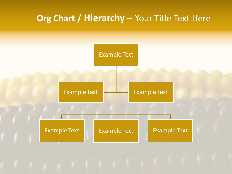 Kernel Corn Seed PowerPoint Template