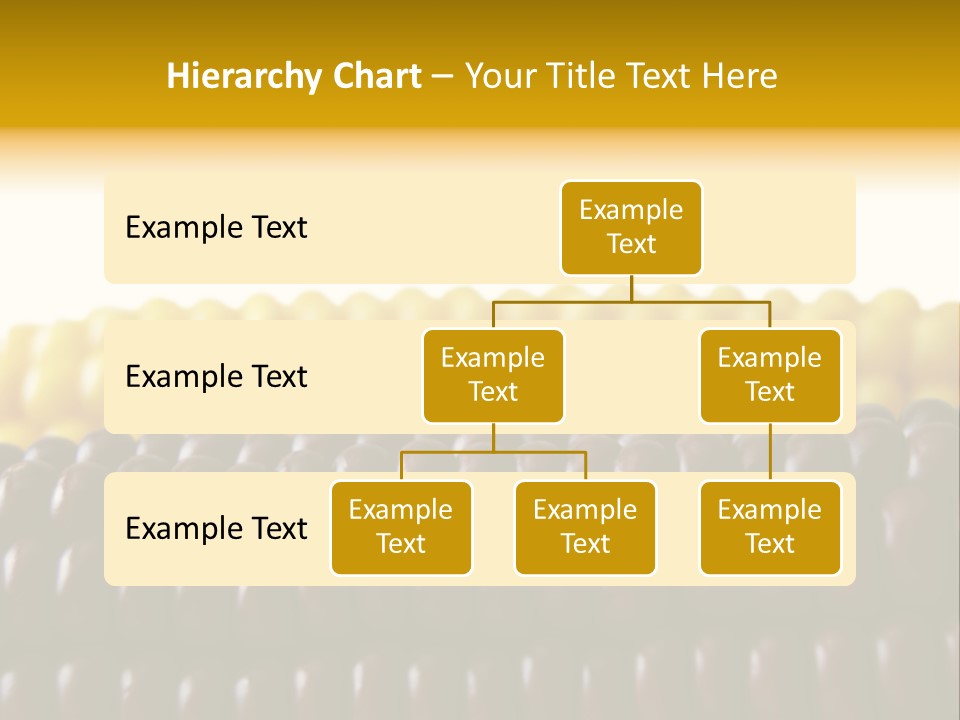 Kernel Corn Seed PowerPoint Template