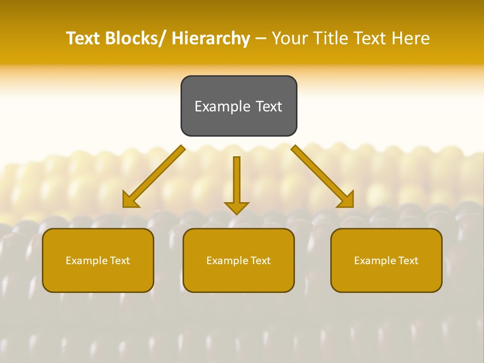 Kernel Corn Seed PowerPoint Template