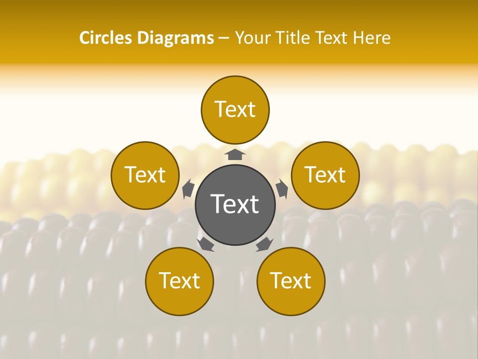 Kernel Corn Seed PowerPoint Template