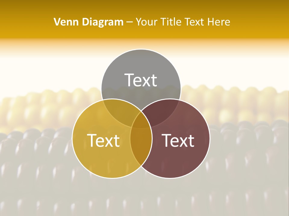 Kernel Corn Seed PowerPoint Template