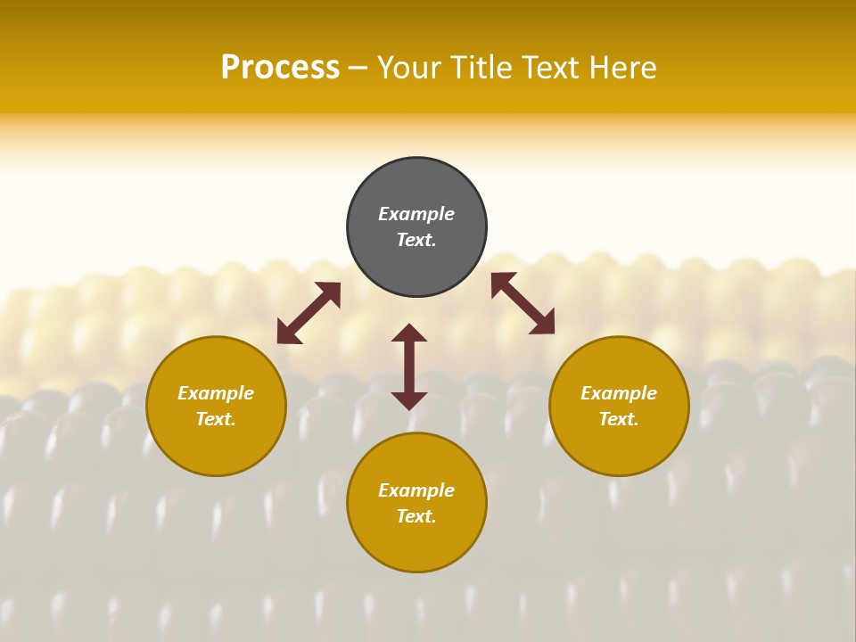 Kernel Corn Seed PowerPoint Template