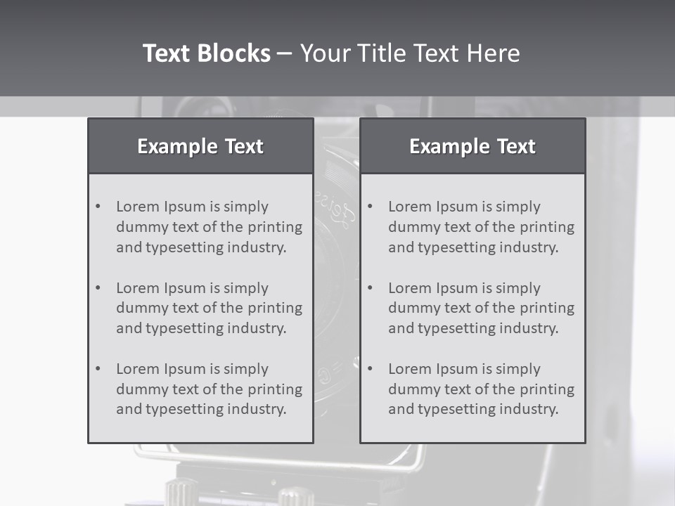 Photograph Black Photo PowerPoint Template