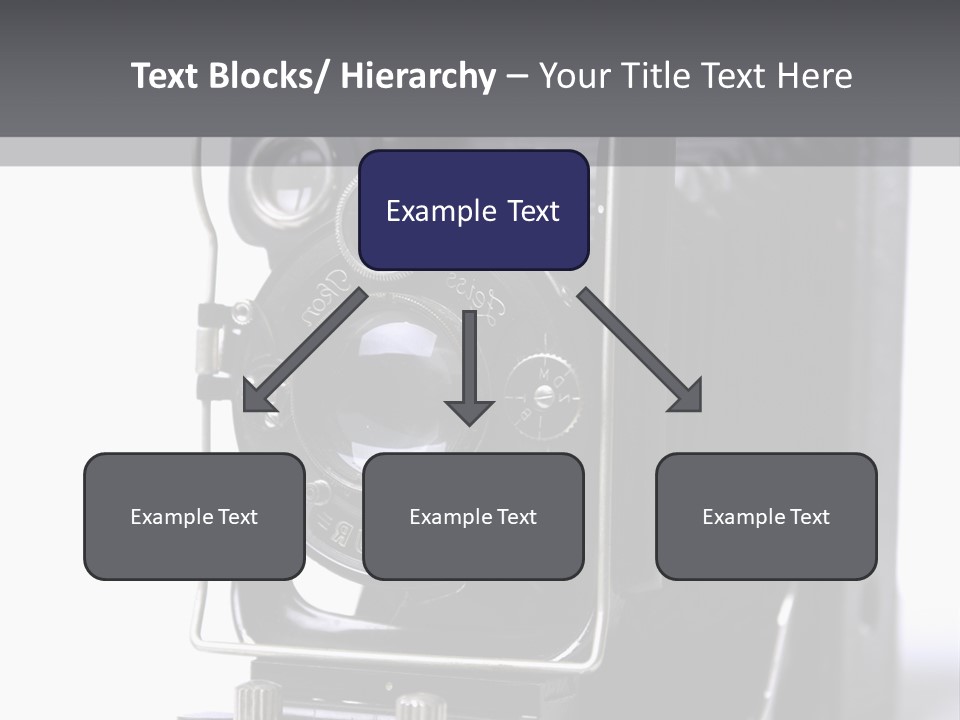Photograph Black Photo PowerPoint Template
