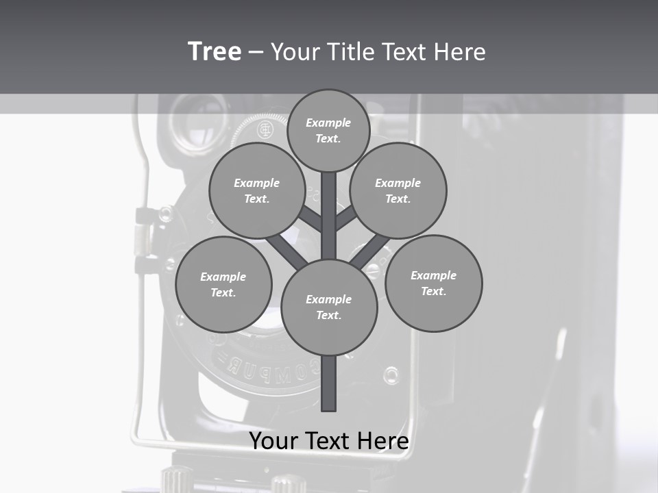 Photograph Black Photo PowerPoint Template