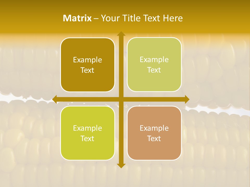Ordering Kernel Biology PowerPoint Template
