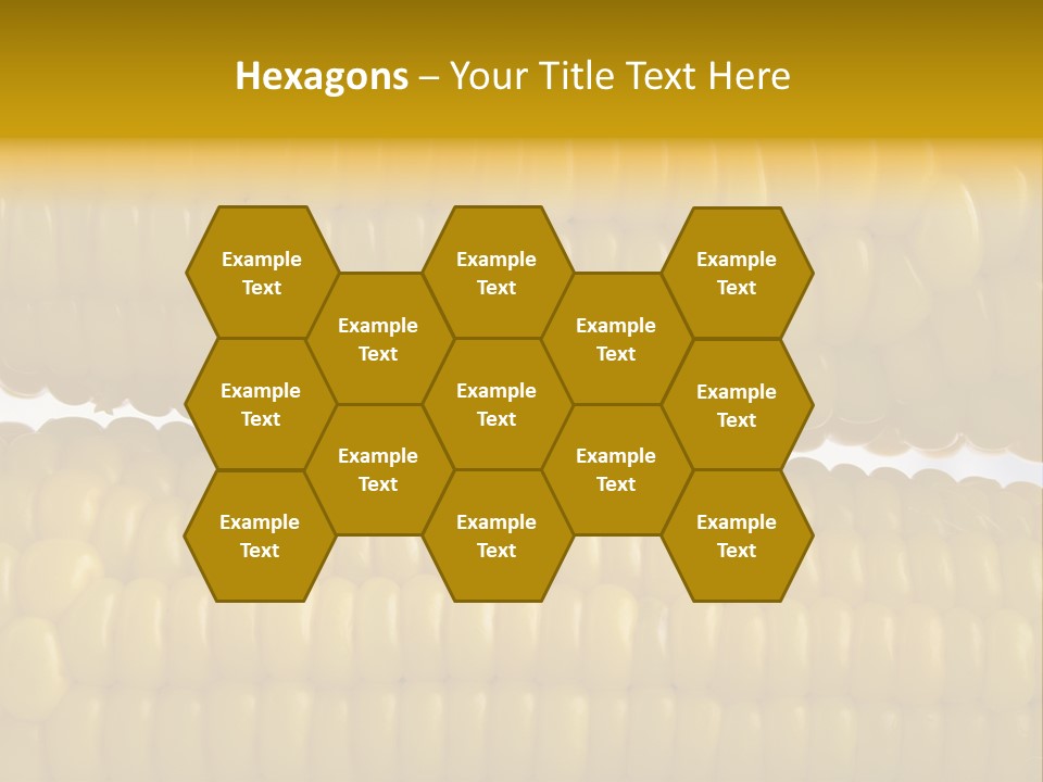 Ordering Kernel Biology PowerPoint Template