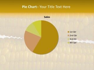 Ordering Kernel Biology PowerPoint Template