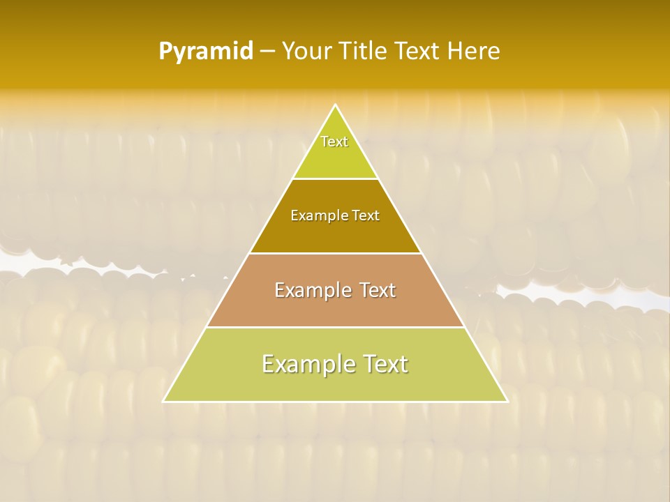 Ordering Kernel Biology PowerPoint Template