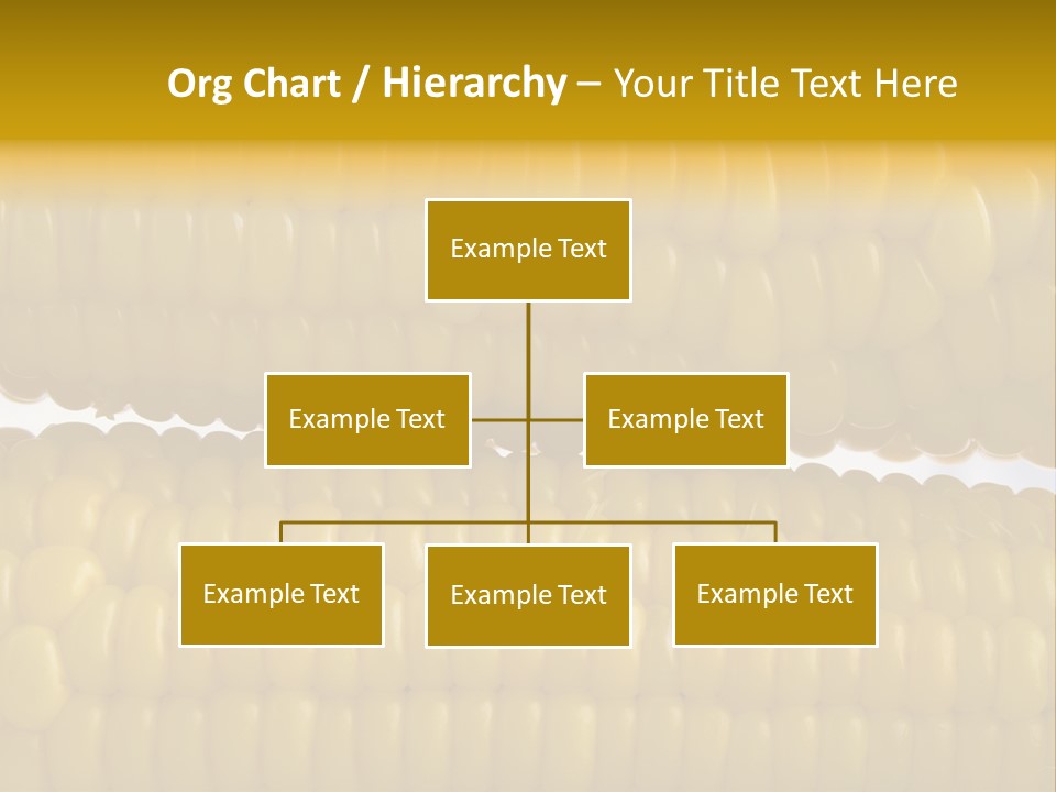 Ordering Kernel Biology PowerPoint Template