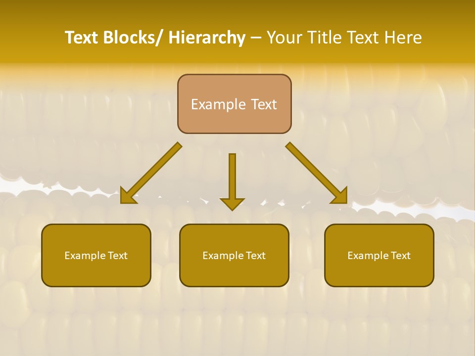 Ordering Kernel Biology PowerPoint Template