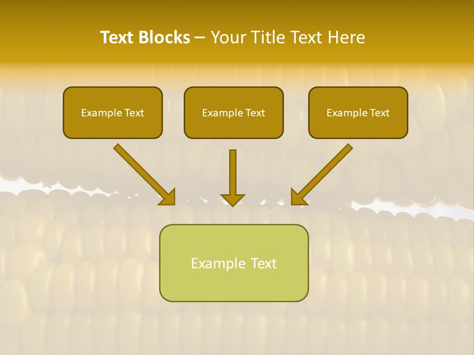 Ordering Kernel Biology PowerPoint Template