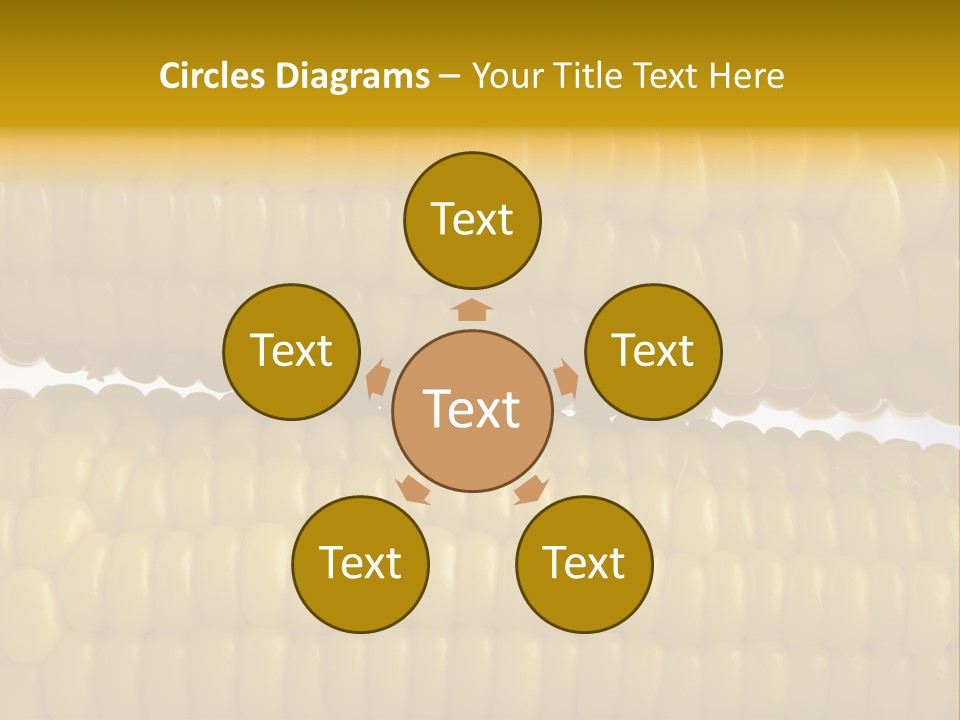 Ordering Kernel Biology PowerPoint Template