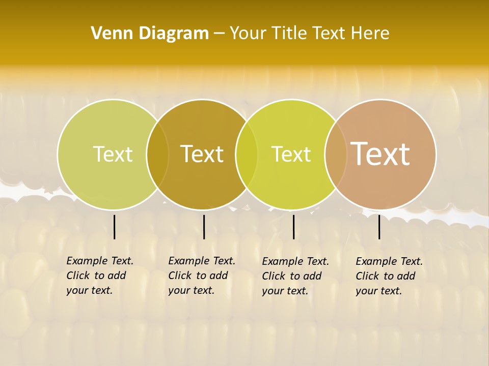 Ordering Kernel Biology PowerPoint Template