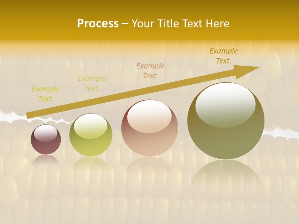 Ordering Kernel Biology PowerPoint Template