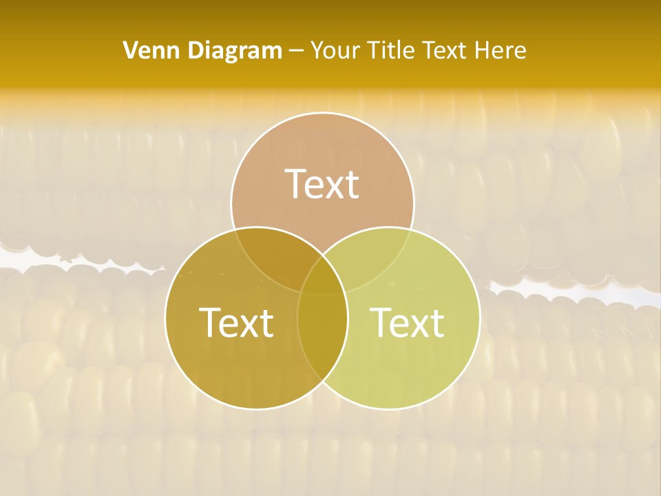 Ordering Kernel Biology PowerPoint Template