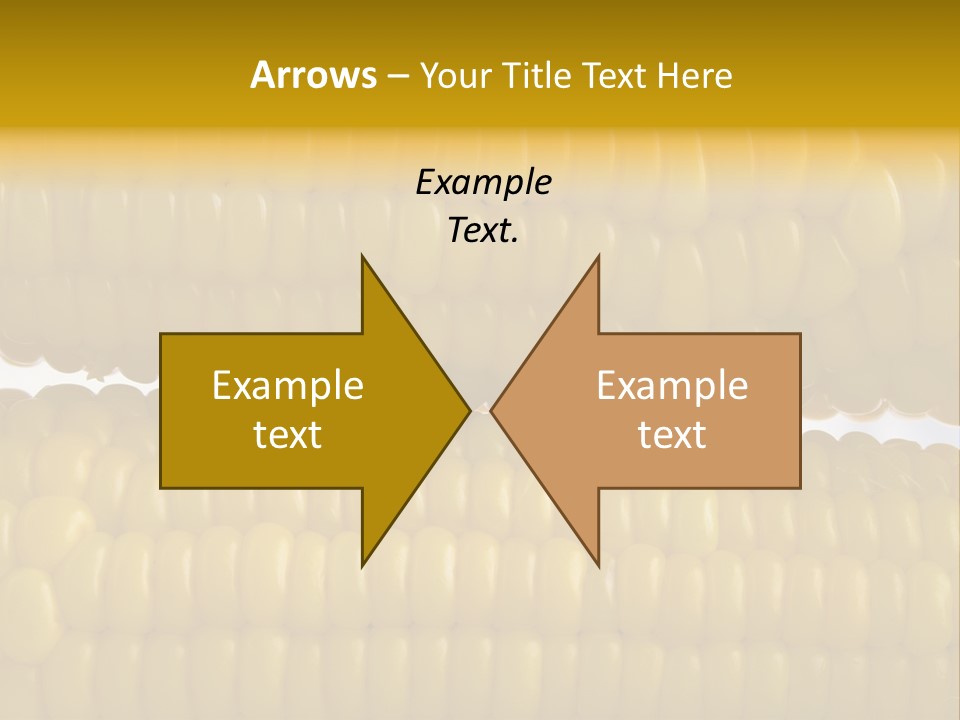 Ordering Kernel Biology PowerPoint Template