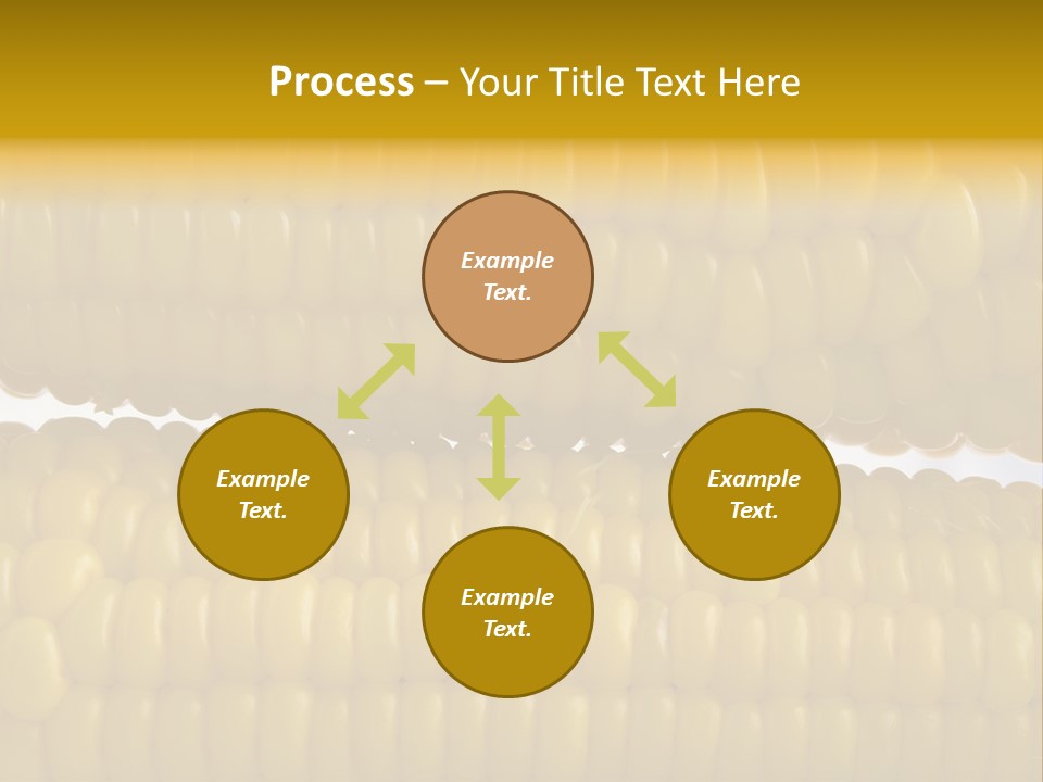 Ordering Kernel Biology PowerPoint Template