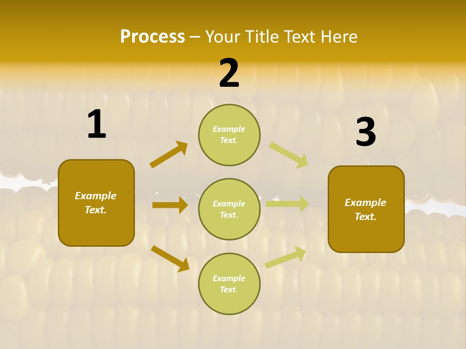 Ordering Kernel Biology PowerPoint Template