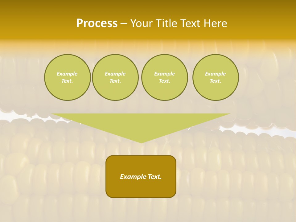 Ordering Kernel Biology PowerPoint Template