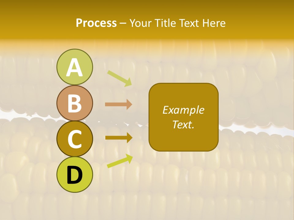 Ordering Kernel Biology PowerPoint Template