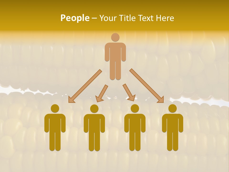 Ordering Kernel Biology PowerPoint Template