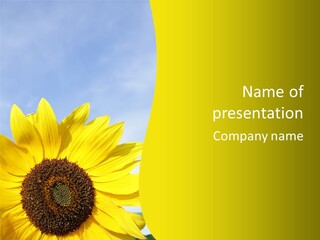 Summer Flower Cloud PowerPoint Template