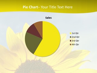 Summer Flower Cloud PowerPoint Template